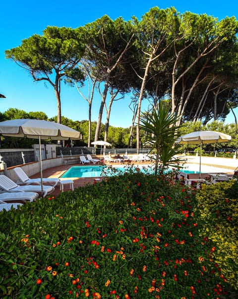 Swimming pool [outdoor]