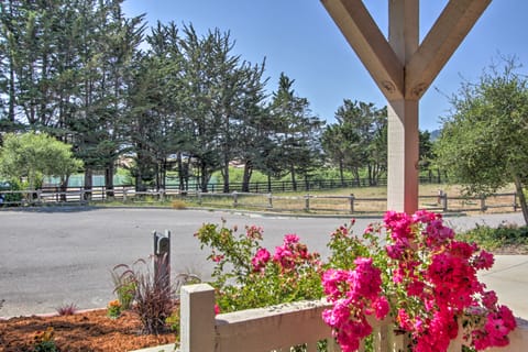 Serene Bungalow-Style Home in Point Reyes Station! House in Point Reyes Station