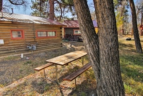 'Autumnsong Fireside' Cabin Near Dtwn Buena Vista! House in Buena Vista