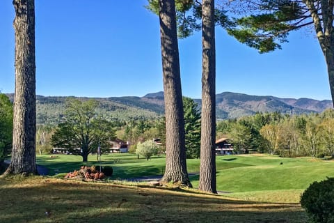 Glen Condo w/ Mountain Views: Walk to Story Land Apartment in Glen