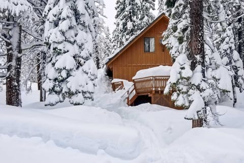 Bear Valley Cabin - Ski to Cross Country Trails! House in Bear Valley