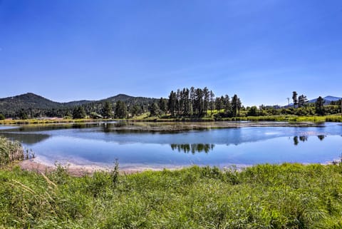 Heart of Black Hills Home by Mickelson Trail! House in Hill City