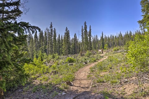 Silverthorne Condo w/ Views ~ 11 Mi to Ski Slopes Apartment in Wildernest