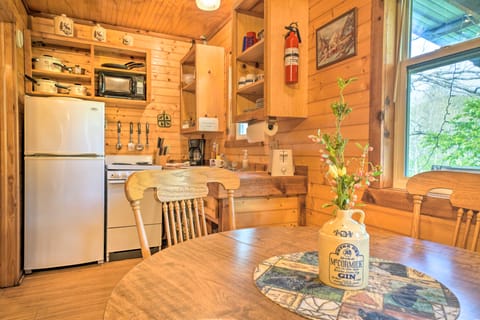 Rustic Davis Cabin < 1/2 Mile to Turner Falls! House in Davis