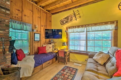 Warm & Inviting Jamaica Cabin w/ Grill: Ski & Hike House in Jamaica