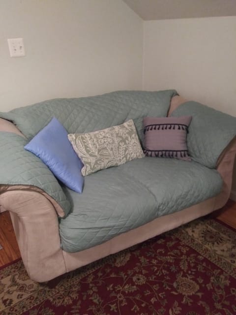 Cozy and Private Rental Unit in Towson/Baltimore Apartment in Towson