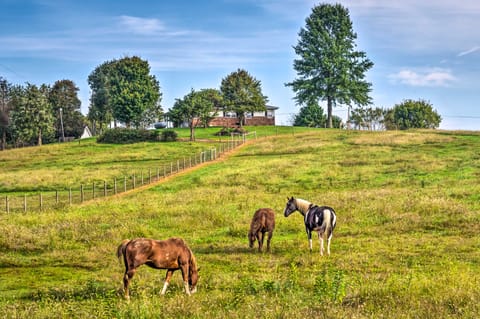 Mammoth Cave Rental on 50 Acres: Shared Amenities Apartment in Nolin Lake