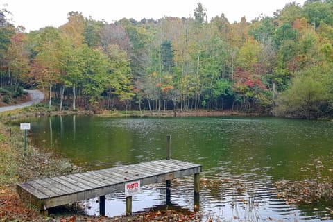 Secluded Black Mountain Cabin w/ On-Site Pond! House in Lake Lure