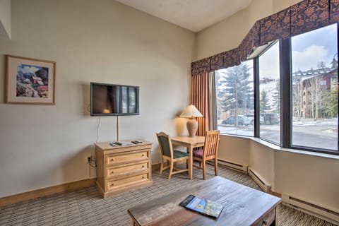 Cozy Colorado Studio Near Crested Butte Ski Slopes Apartment in Colorado