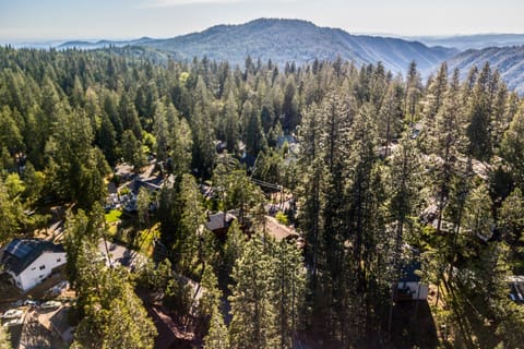 Serene High Sierra Cabin in Twain Harte w/ Grill! House in Mi Wuk Village