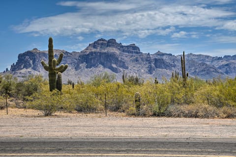 Peaceful Step-Free Condo, 1 Mi to Downtown! Apartment in Apache Junction