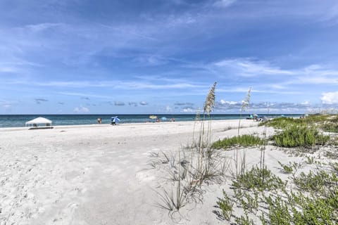 Lovely Indian Shores Condo w/ Beach Access! Apartment in Indian Shores