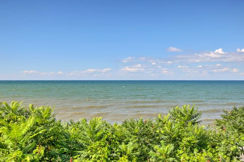 Sodus Point Escape w/ Yard: Walk to Lake Ontario House in Sodus Point