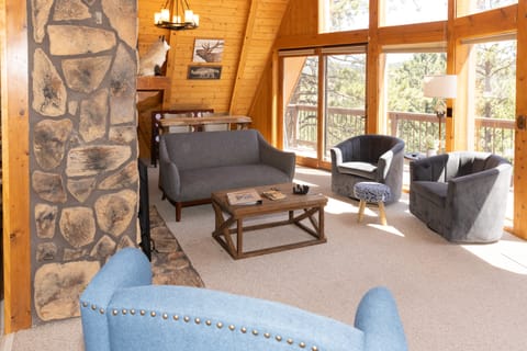 'Lazy Bear Lodge' in Florissant w/ Mountain Views! House in Colorado
