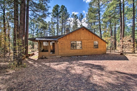 Pet-Friendly Lakeside Cabin w/ Deck & Grill House in Pinetop-Lakeside