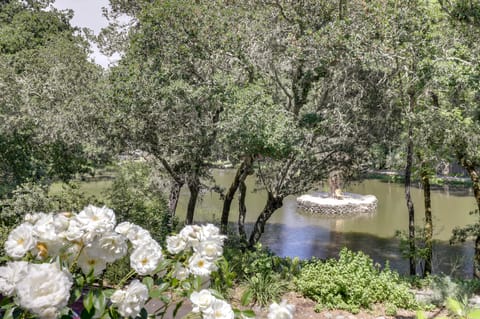 Lakefront Glen Ellen Cabin w/ Views Near Wineries! House in Glen Ellen