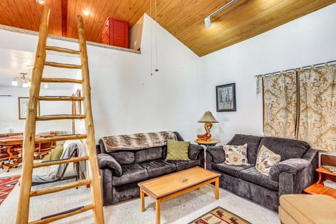 Dolores Cabin w/ River Access: Pets Welcome! House in La Plata County