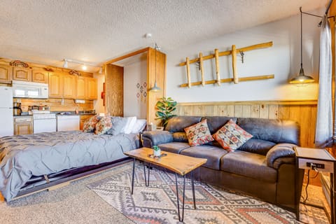 2 Mi to Granby Ranch: Dog-Friendly Studio! Apartment in Granby