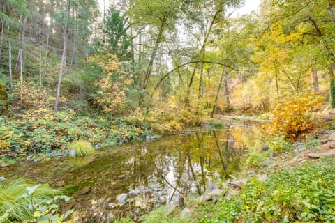 Bear Lodge Waterfront Cabin w/ Level 2 EV Charger House in Calaveras County