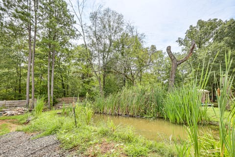 Family Home w/ On-Site Waterfall & Pond in Fulton! House in Arkansas