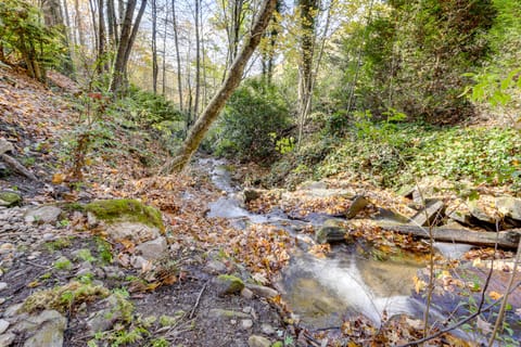 Creekside Cabin in the Heart of Maggie Valley House in Maggie Valley