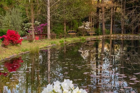 2BR House in Town w/ Laundry, WiFi, Pond House in Black Mountain