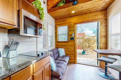 Studio Cabin w/ Covered Patio, Fire Pit, & WiFi Apartment in Rio Grande