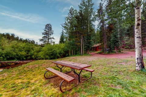 Deck & Mtn Views! Family A-Frame Cabin Near Stream House in Bailey