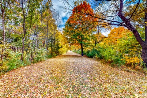 Laid Back, Dog-Friendly Indy 4BR w/ Patio House in Indianapolis