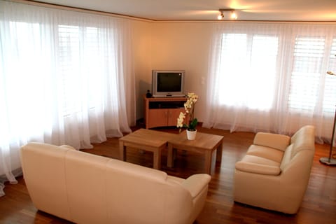 City Apartment | Living area | 40-cm TV with cable channels