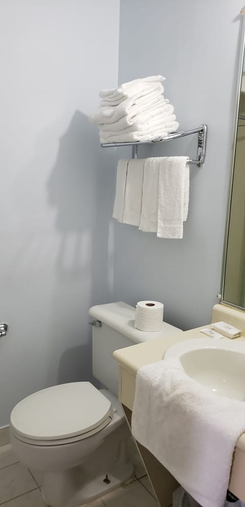 Basic Room | Bathroom | Free toiletries, hair dryer, towels, soap