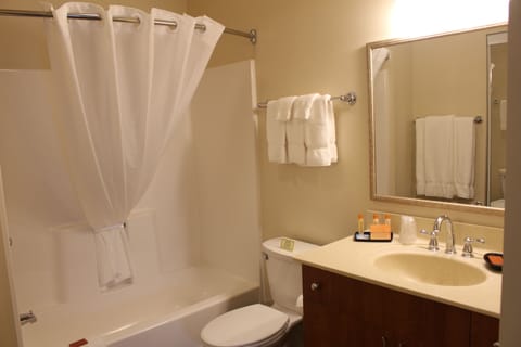 Combined shower/tub, free toiletries, hair dryer, towels