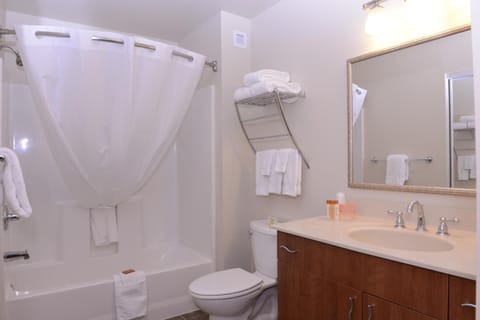 Combined shower/tub, free toiletries, hair dryer, towels