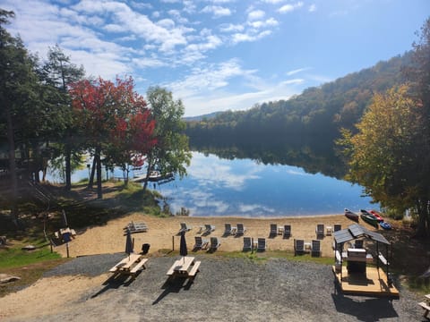 BBQ/picnic area