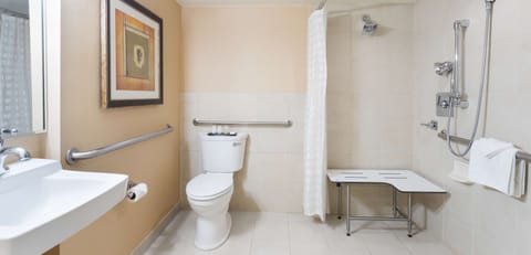 Suite, 1 King Bed, Accessible, Non Smoking (Roll-in shower) | Bathroom | Combined shower/tub, free toiletries, hair dryer, towels