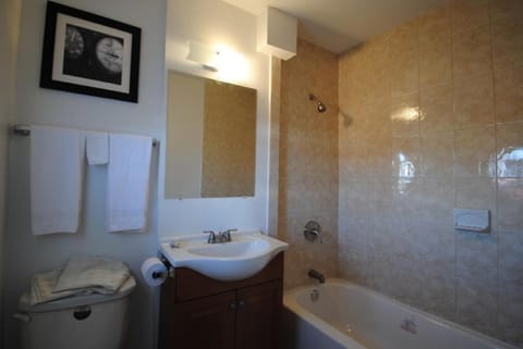 Combined shower/tub, free toiletries, hair dryer, towels