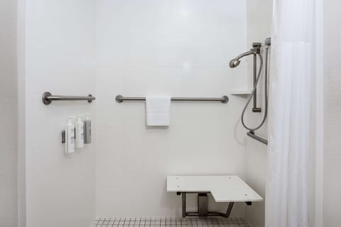 Room, 1 King Bed, Accessible, Non Smoking | Bathroom shower