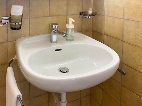 Hair dryer, soap, shampoo, toilet paper