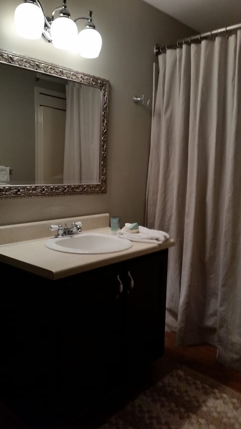 Room, 1 Queen Bed | Bathroom | Combined shower/tub, free toiletries, hair dryer, towels