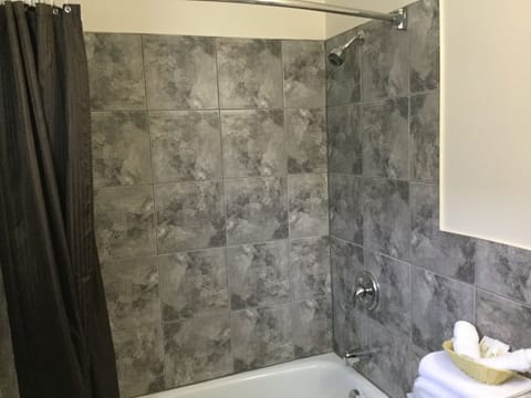 Combined shower/tub, hair dryer