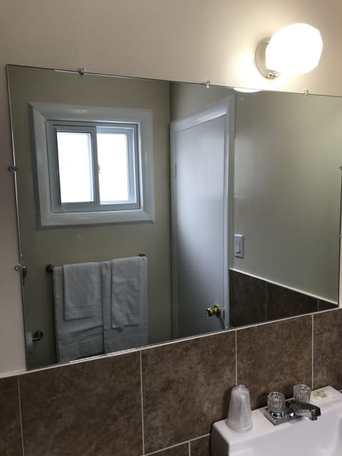 Combined shower/tub, hair dryer