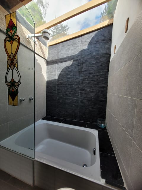 Premium Room | Bathroom | Shower, rainfall showerhead, free toiletries, towels