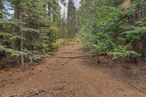 Ski out trail that leads from Homewood to right behind house.
