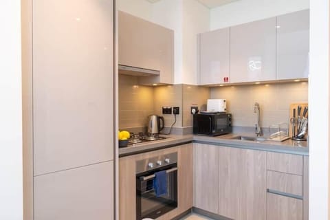 Elite Room | Private kitchen | Full-size fridge, microwave, oven, stovetop