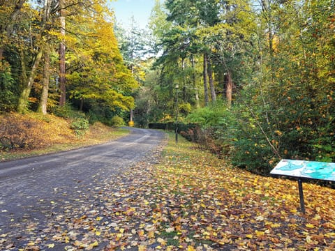 Surrounding area | Family Lodge No.5 - Atholl Palace Holidays, Pitlochry