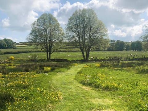 Surrounding area | Cwtch Wrth Plas - Plas Cottages, Talgarreg