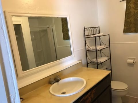 Economy Single Room | Bathroom | Shower, rainfall showerhead, hair dryer, towels