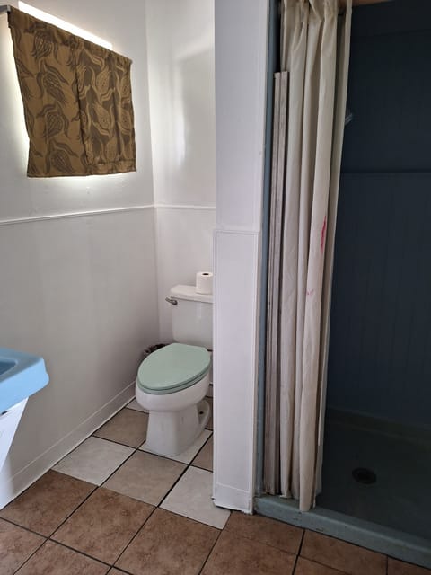 Economy Single Room | Bathroom | Shower, rainfall showerhead, hair dryer, towels