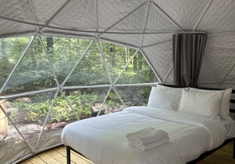 Premium Tent | Free WiFi, bed sheets