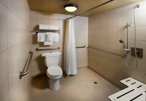 Suite, 1 King Bed with Sofa bed, Accessible | Bathroom shower